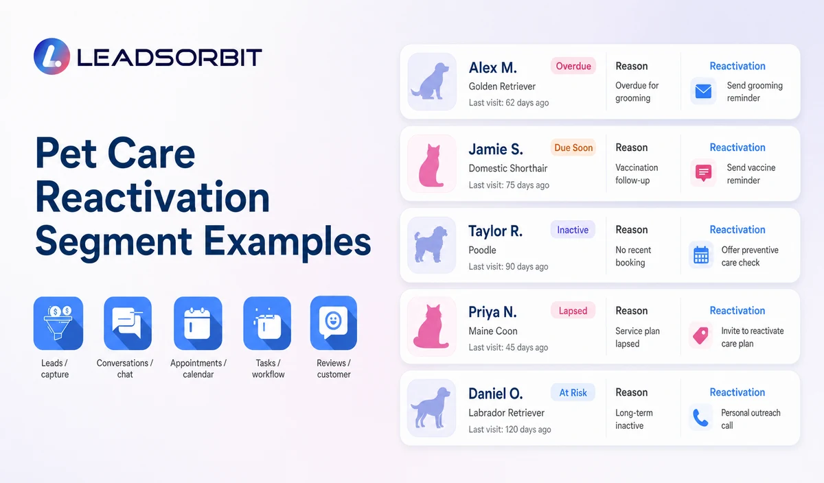 Pet Care Reactivation Segment Examples